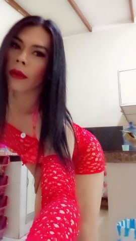 Tu gatita harely 