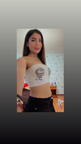 Dominii