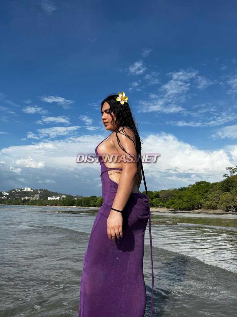 Karicia 