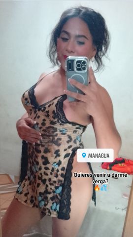 Karicia 