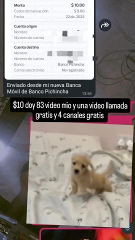 La ninfómana 