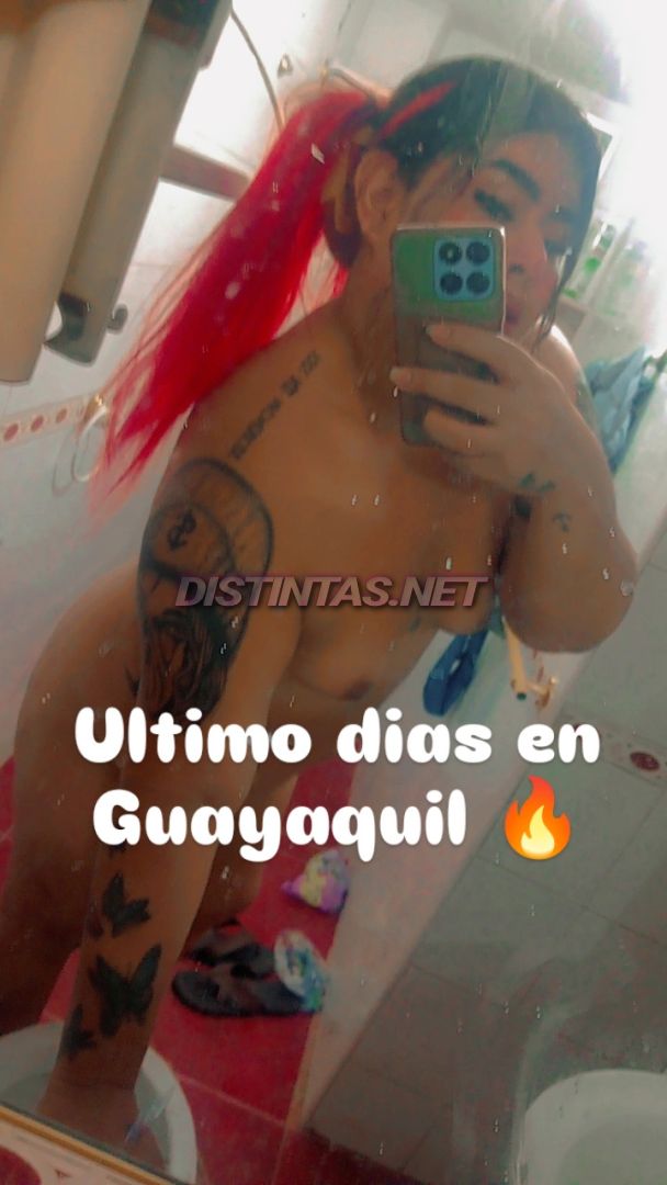 Alondra marin