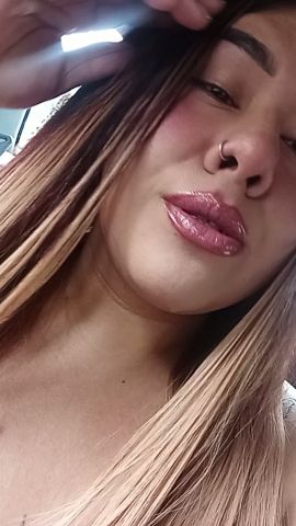 Alondra marin