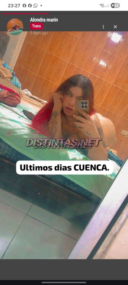 Alondra marin