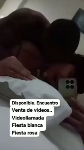 Alondra marin