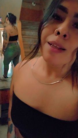 Alondra marin