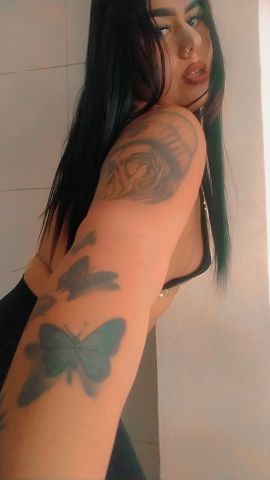 Alondra marin