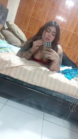 Alondra marin