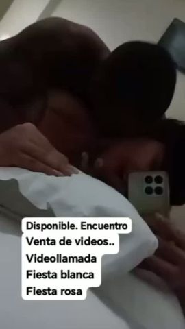 Alondra marin