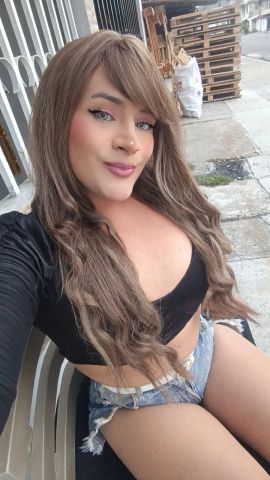 La venenito