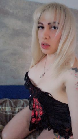 Kamila tr