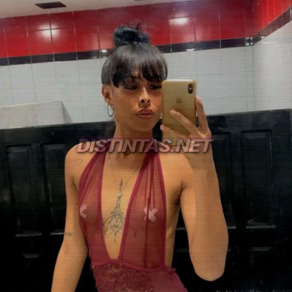 Escorts Trans Shila in La Habana