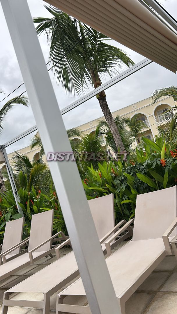 Luanna Alemán 
