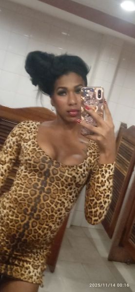 Escorts Trans Meibol en La Habana