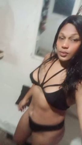Cataleya kaiily 