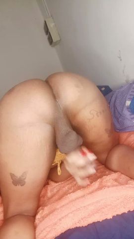 Cataleya kaiily 