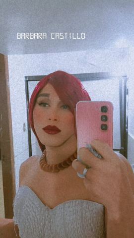 Bárbara la paisa 