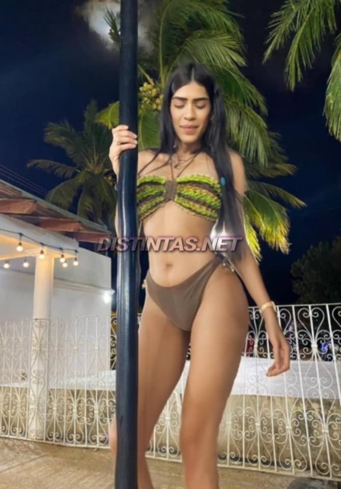 Kattleya Valentina 