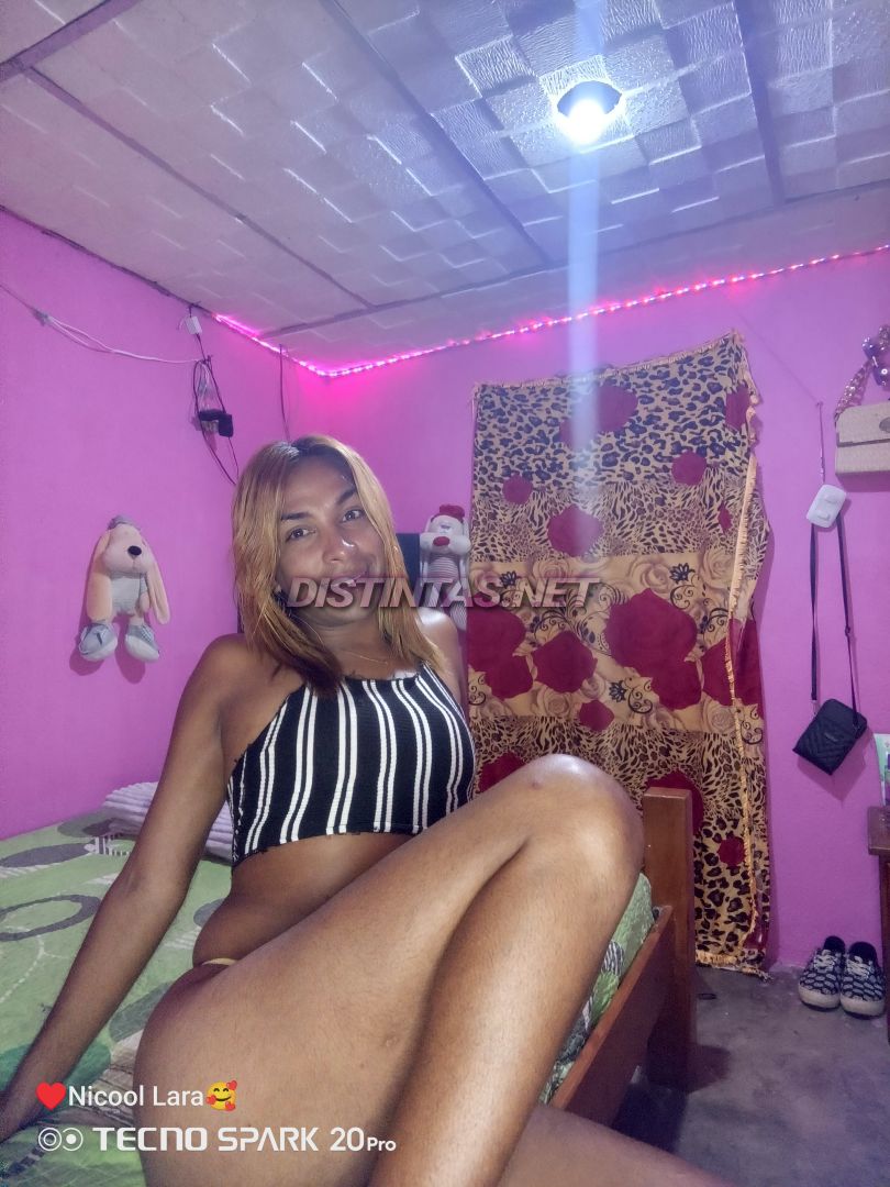 Nicool Lara 