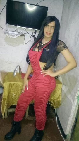 yoryi suarez
