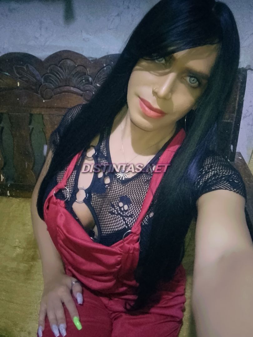 yoryi suarez