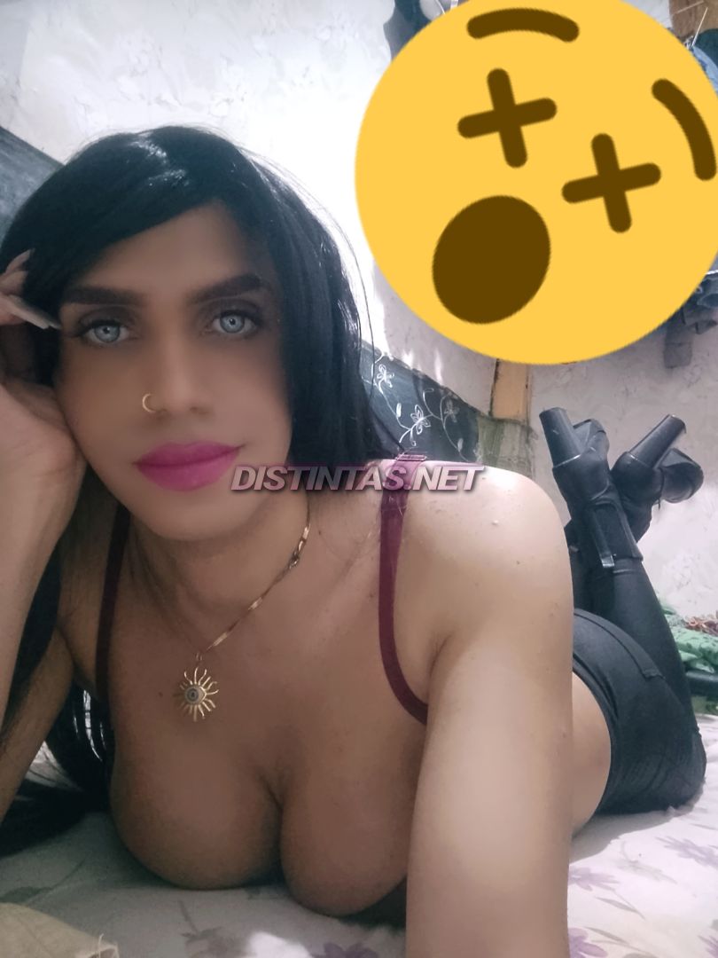 yoryi suarez