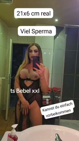 Bebel