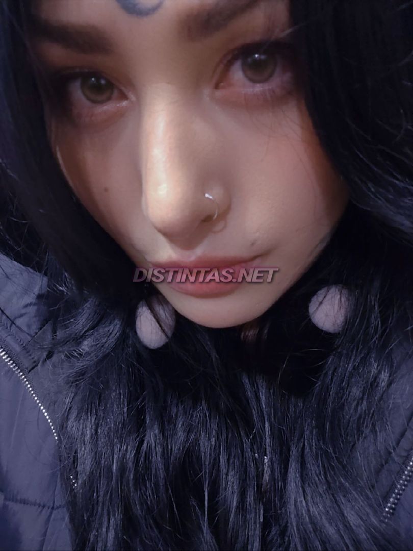Beeliin trans pasiva 
