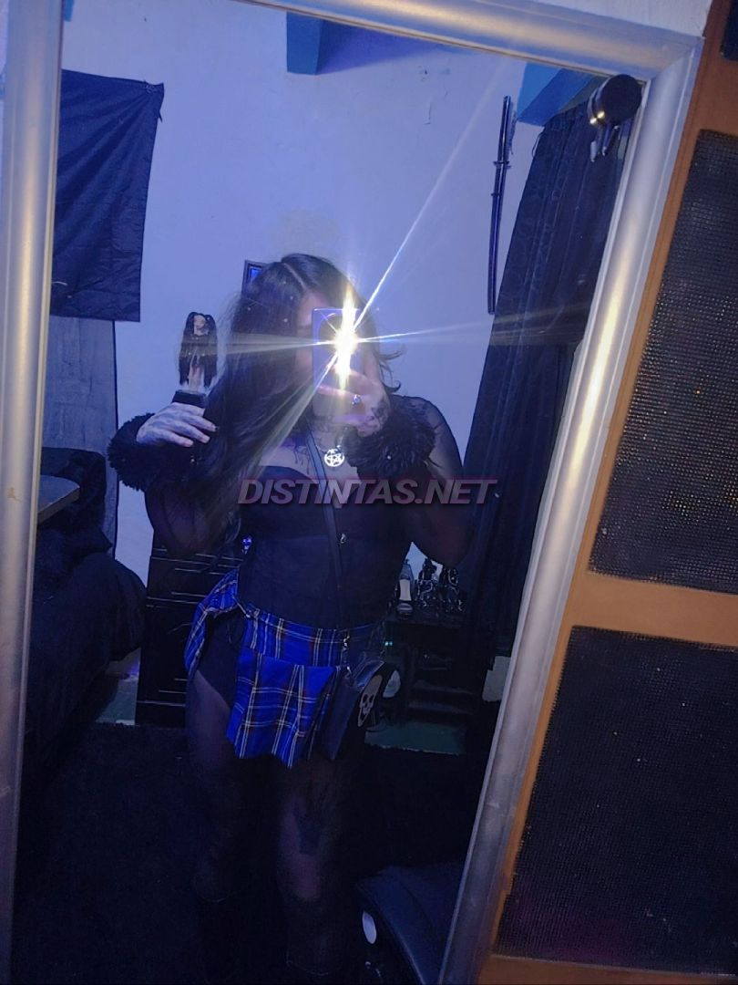 Beeliin trans pasiva 