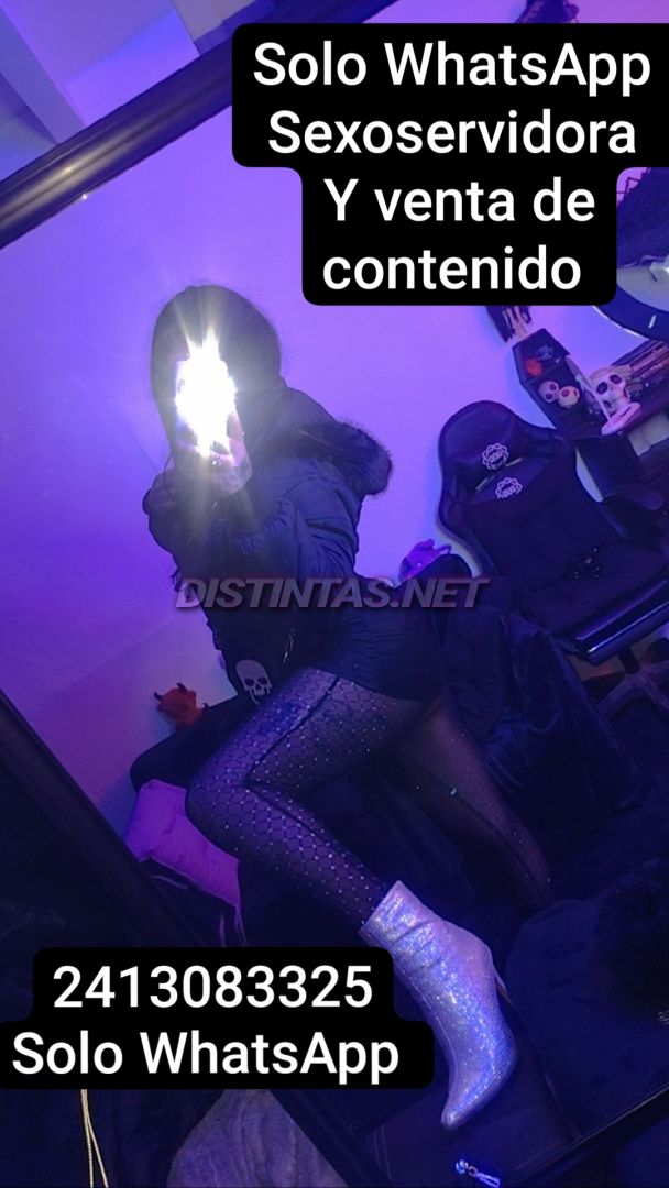 Beeliin trans pasiva 
