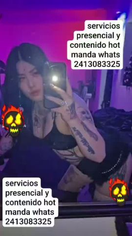 Beeliin trans pasiva 