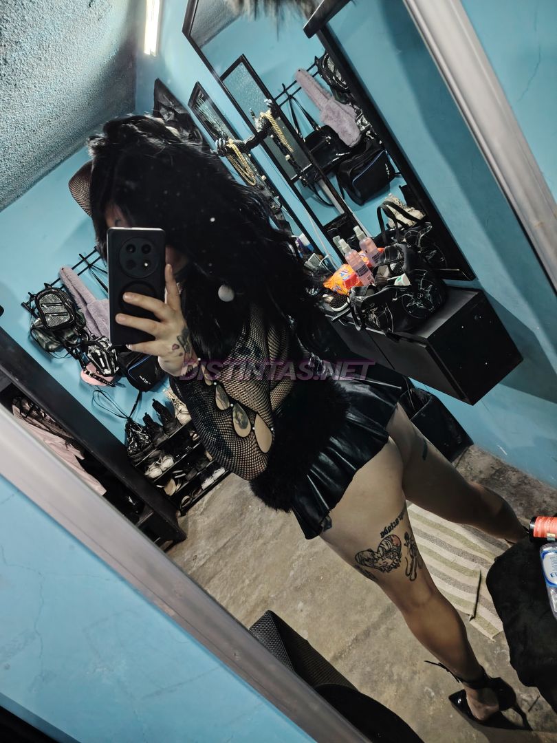 Beeliin trans pasiva 