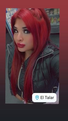 Tamy Folle