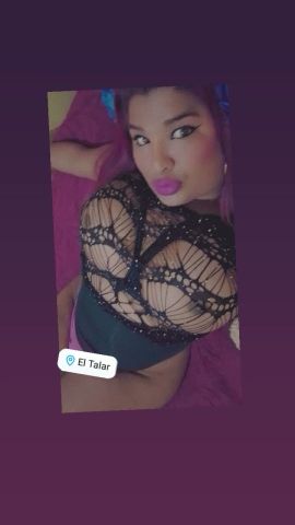 Tamy Folle