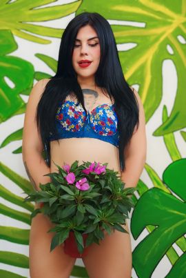 SARAFABEL