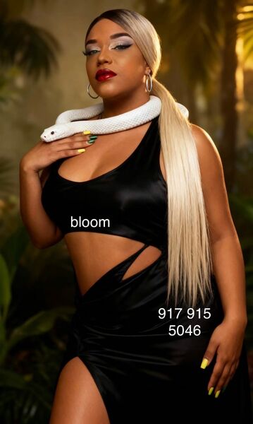 Bloom