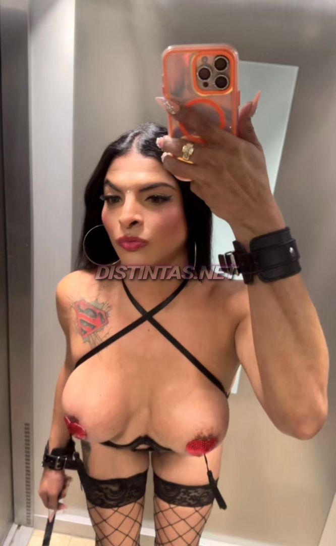 Sofia prins 