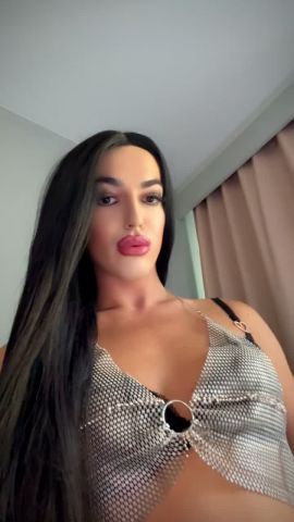 Ts Stella
