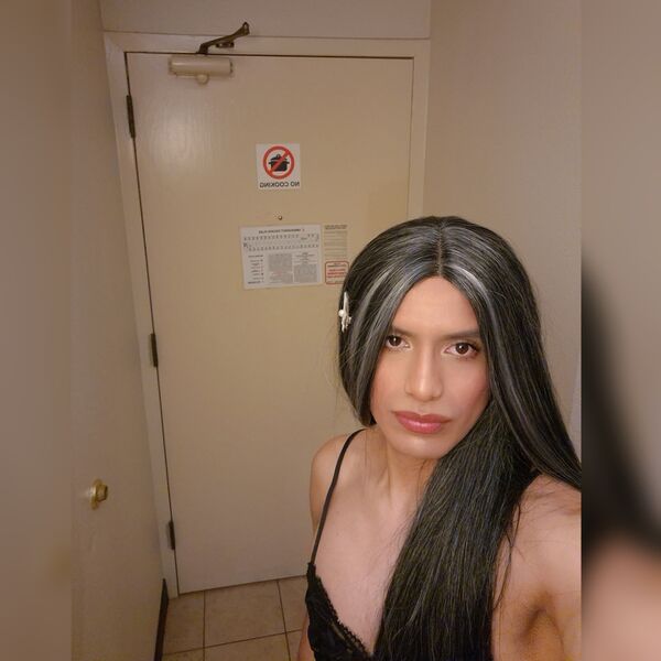 Escorts Trans lenna cardona in New Haven