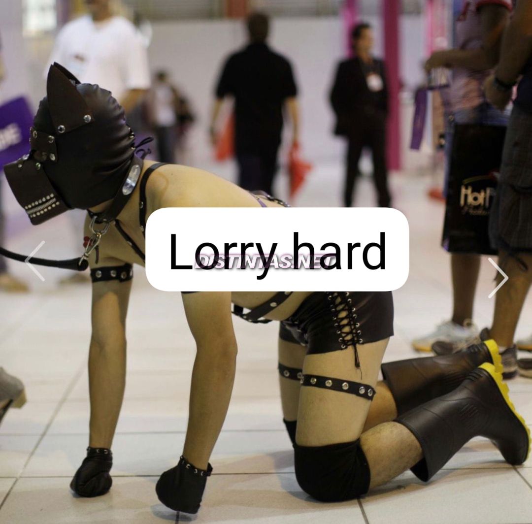 Lorry Hard 