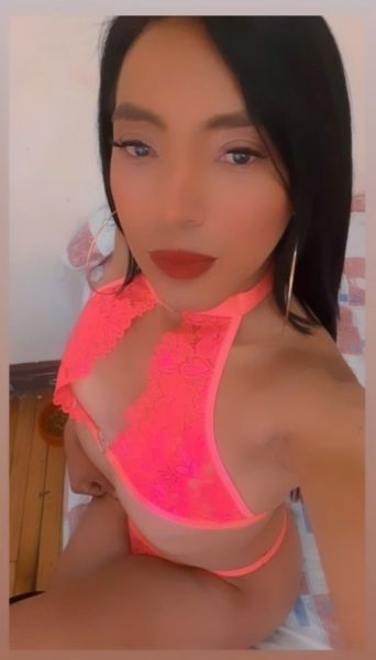 HOLA MI AMOR SOY ADRIANA CHIQUITA Y APRETADITA MAMADORA SOY GRITONA Y SUMISA SIN COMPLICACIONES EN ROLES ESTOY PARA COMPLACERTE ASME  TUYA ESOS POCOS DÍAS QUE ESTARÉ DISPONIBLE EN LA LINDA CIUDAD  COMO TE GUSTAN PEQUEÑITA 1.50CM ARDIENTE Y ADICTA AL SEXO 

💏 MI SERVICIO ES DE ENAMORADOS 💏 ❗
CACHONDO 😋 🥰🔥😈❤️👇🏼

😋 ANAL 😘😈

👅*RICO ORAL 😋,

😎 *LAS POSES QUE DESEES 😊
😘 MIS FOTO SON 100% CASERA SIN ENGAÑOS 

😘*BESITOS 

🥰 CARISIAS 

💋 TRATO DE ENAMORADOS 😍

😉 VENTA DE CONTENIDO PREVIO DESPOSITO BANCARIO
 
😚 *DESNUDITA TOTAL * 👙
😊 SIN NADA DE APUROS SOY CUMPLIDA CON LA HORA 😉😘🔥

🥰 EL DELICIOSO 
6⃣9⃣
😘 ORAL AL NATURAL
 
❤️POSES A SU GUSTO
 
❤️ EYACULACIÓN CORPORAL🫦🤤

❤️ VOY A DOMICILIO

❤️ HAGO SALIDAS DENTRO Y FUERA DE LA CIUDAD

❤️ SOY FIESTERA

❤️ HAGO TRIO, ORGIA

VEN Y DAME TODA TU LECHE
