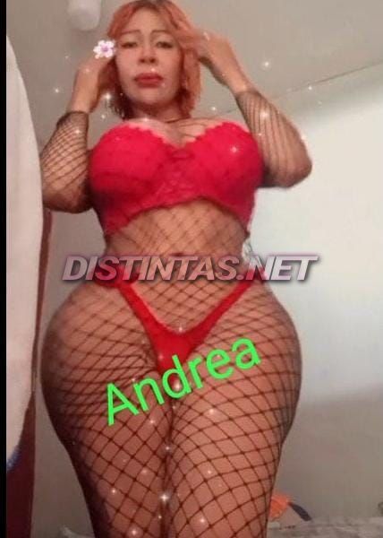 Andrea Culona