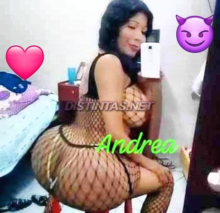 Andrea Culona
