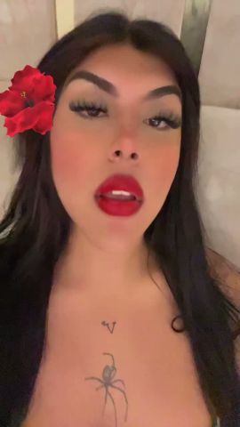 Alea 