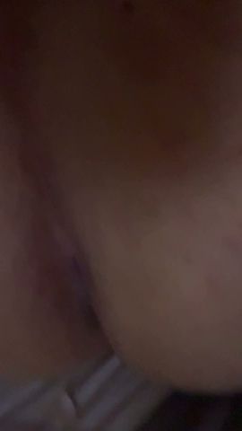 La salmonaa