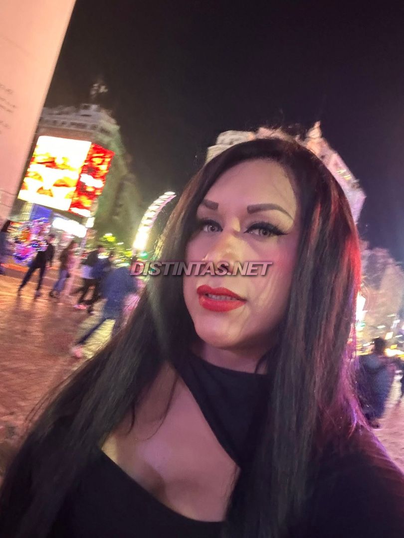Katalina Chienne
