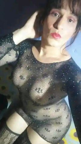 Michell ZN