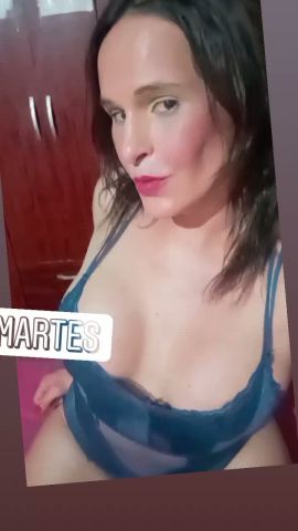 Michell ZN