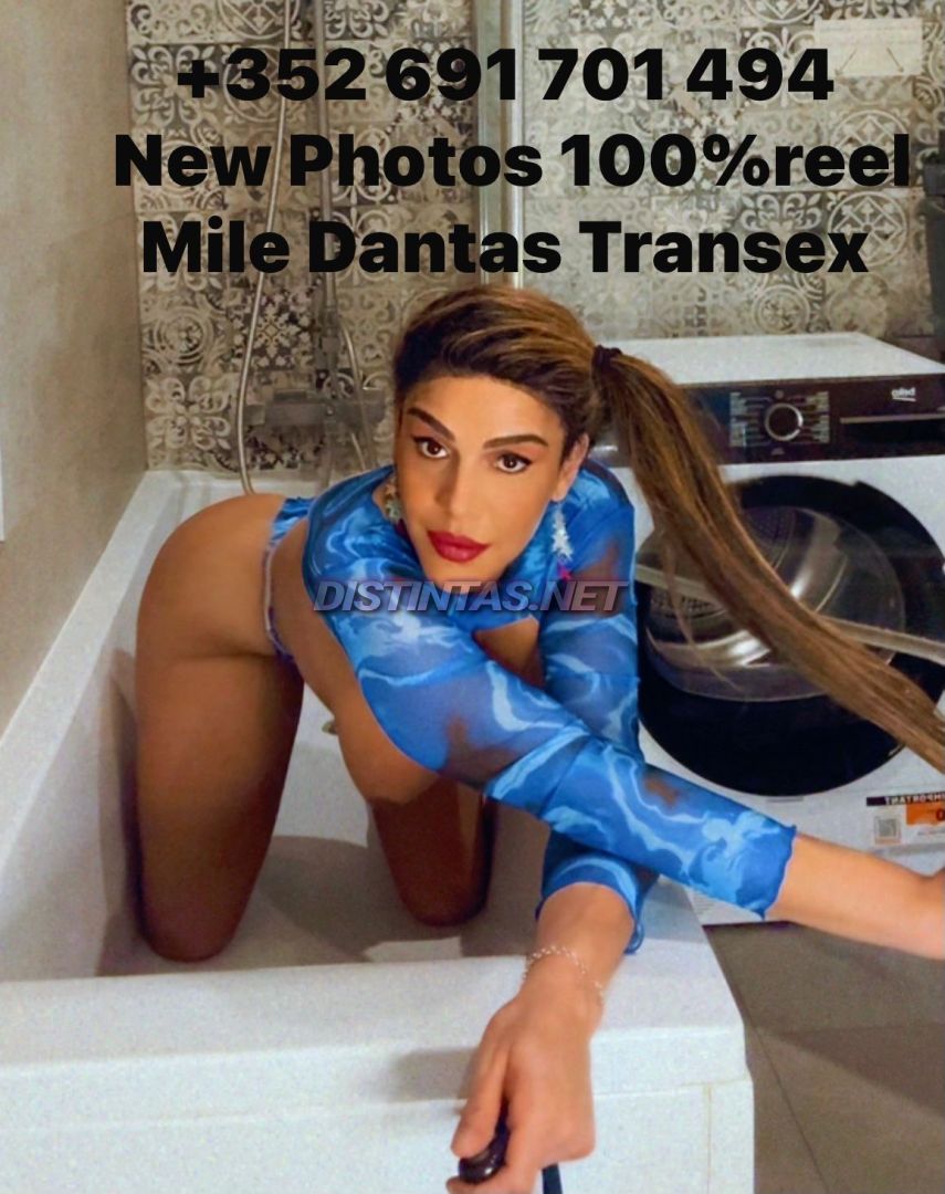 Mile Dantas 