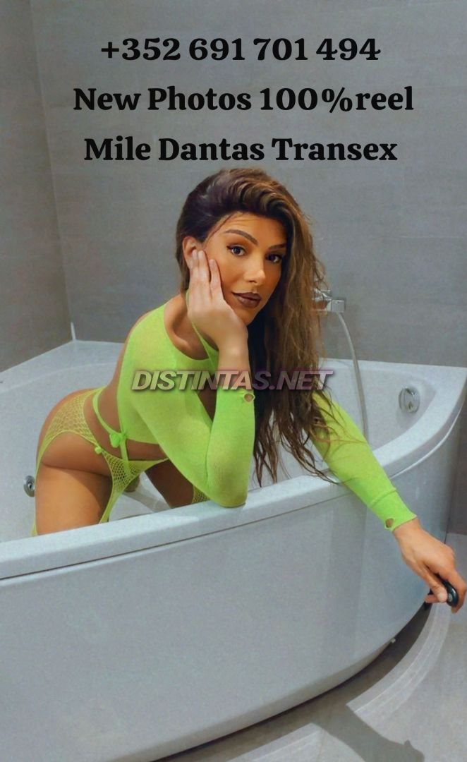 Mile Dantas 